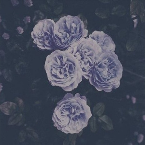 扒开❌狂揉❌真人❌捆绑男男小说
